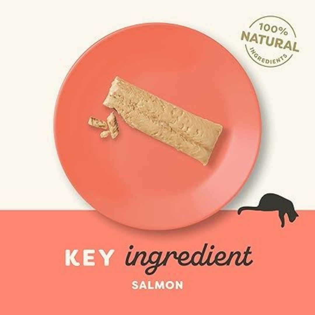 Applaws Salmon Fillet Cat Treat 30g