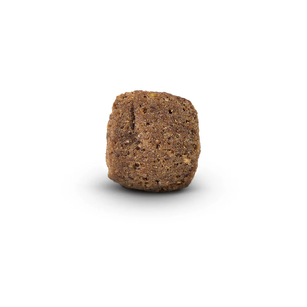 Arden Grange Advanced Sensitive All Breeds Senior Light Fresh Ocean White Fish & Potato Dry Dog Food kibble size and shape
