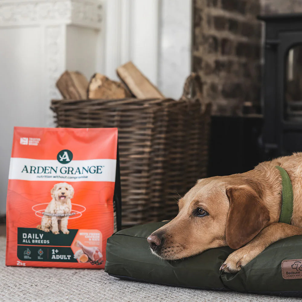 Arden Grange Daily All Breeds Adult Fresh Chicken & Rice Dry Dog Food product detail
