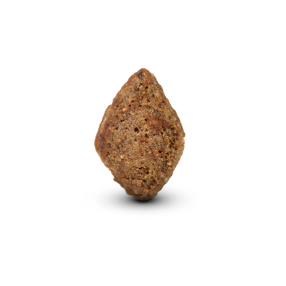 Arden Grange Daily All Breeds Adult Salmon & Rice Dry Dog Food product image 3