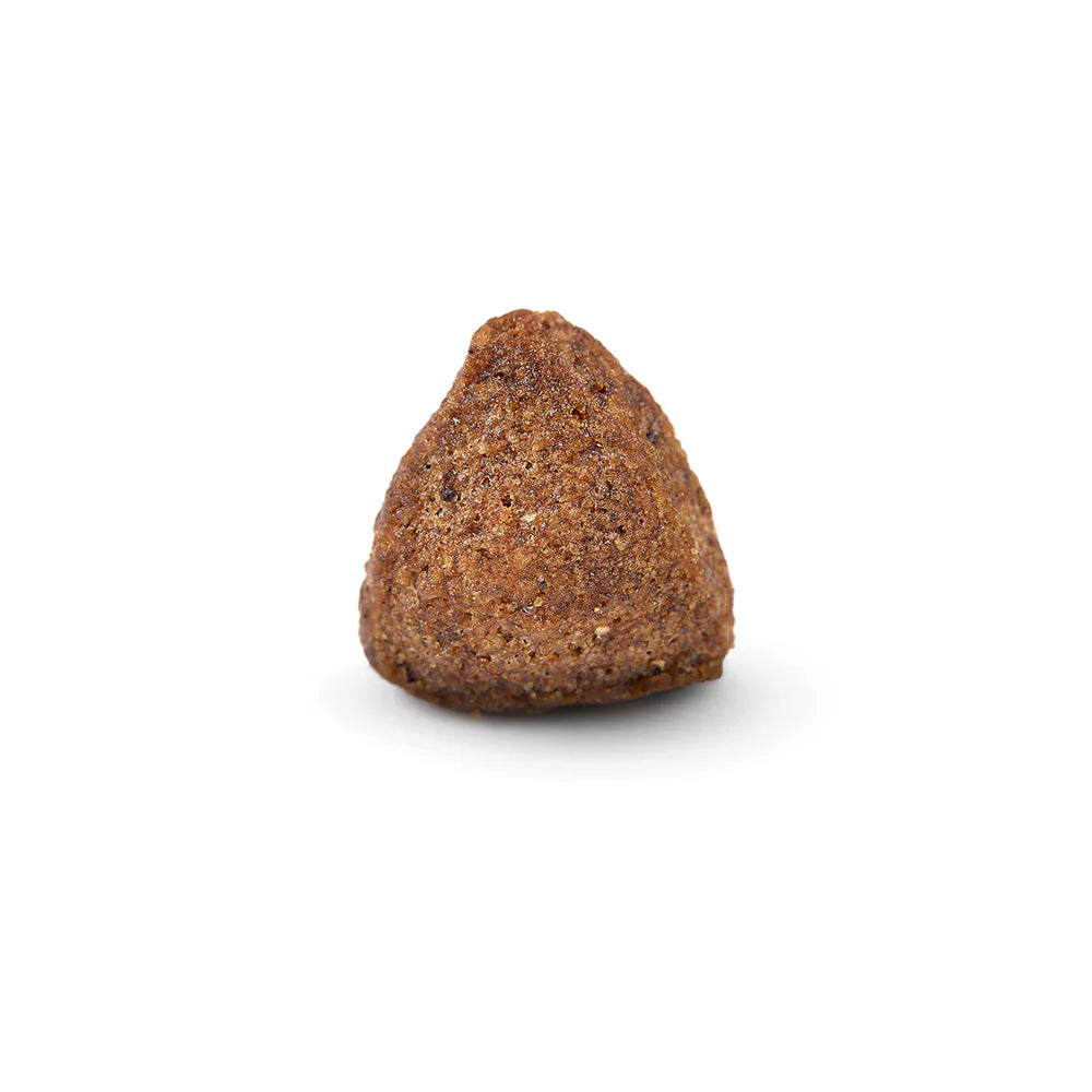 Arden Grange Daily All Breeds Adult with Fresh Pork & Rice Dry Dog Food kibble size and shape