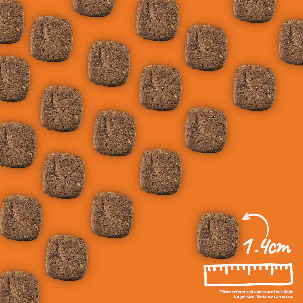 Arden Grange Daily All Breeds Senior with Fresh Chicken & Rice Dry Dog Food kibble size and shape