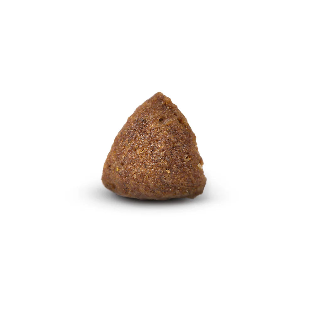 Arden Grange Daily Small Breeds Adult with Fresh Chicken & Rice Dry Dog Food kibble size and shape