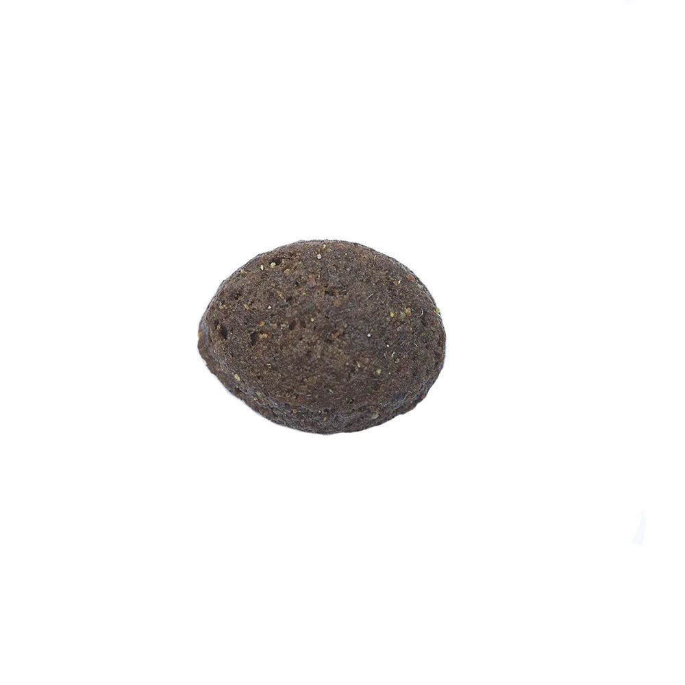 Arden Grange Grain Free Adult Lamb & Superfoods Dry Dog Food kibble size and shape