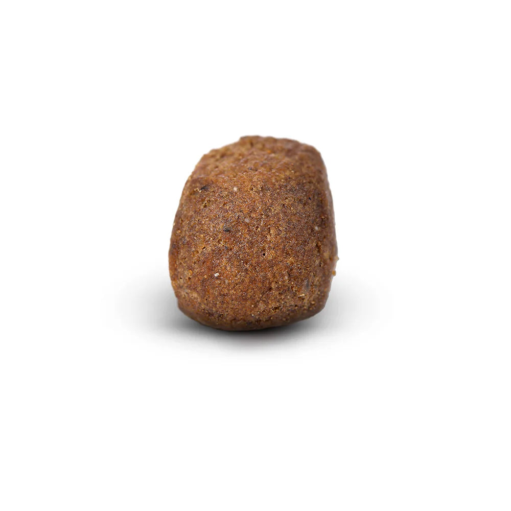 Arden Grange Premium Rich in Fresh Chicken & Rice Dry Dog Food kibble size and shape