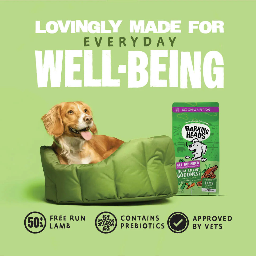 Barking Heads All Hounder Bowl Lickin' Goodness Lamb Dry Dog Food — 2 kg — product view 5