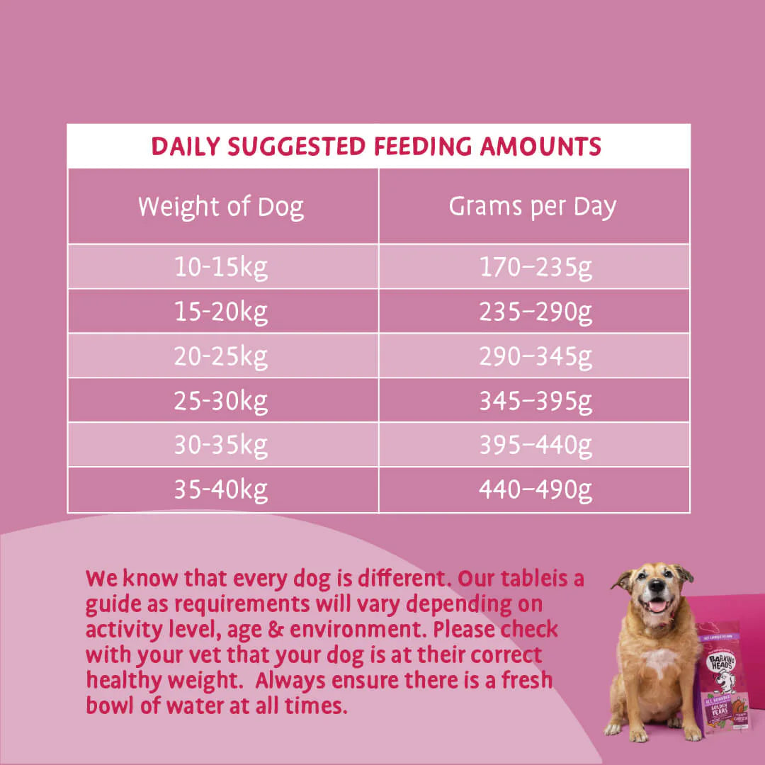 Barking Heads All Hounder Golden Years Chicken Dry Dog Food — 2 kg — product view 8