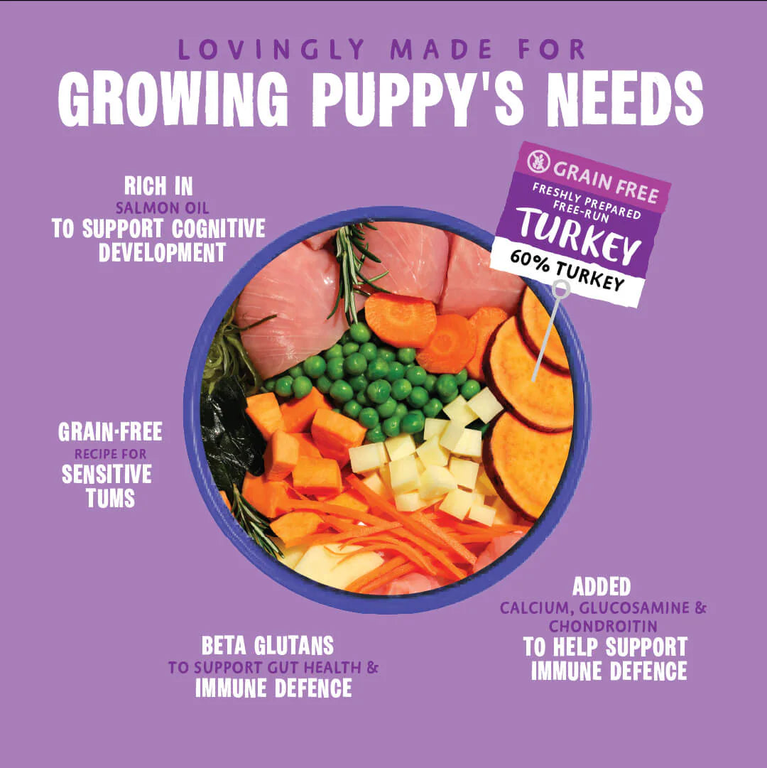 Barking Heads All Hounder Puppy Days Turkey Dry Dog Food — 2 kg — product view 3