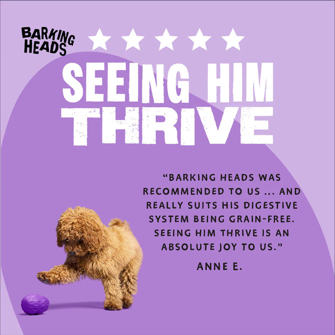 Barking Heads All Hounder Puppy Days Turkey Dry Dog Food — 2 kg — product view 6