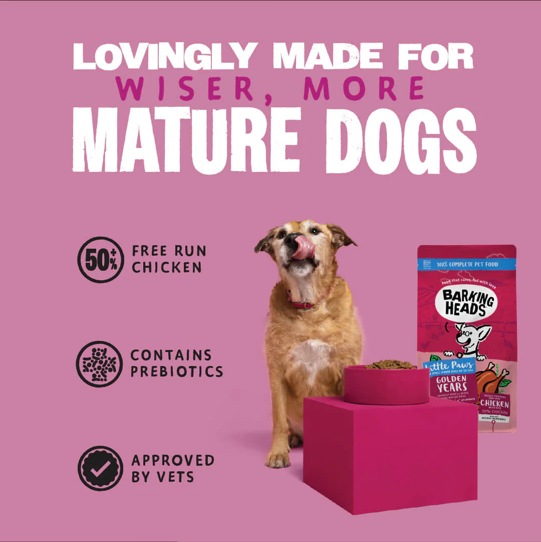 Barking Heads Little Paws Golden Years Chicken Dry Dog Food — 1.5 kg — product view 5