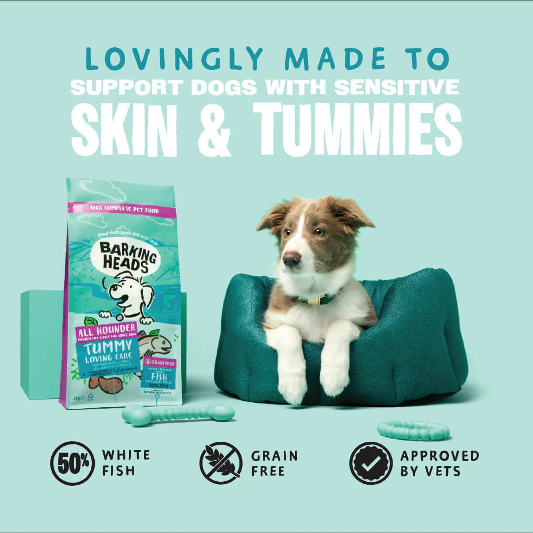 Barking Heads Tummy Loving Care Fish Dry Dog Food — 2 kg — product view 6