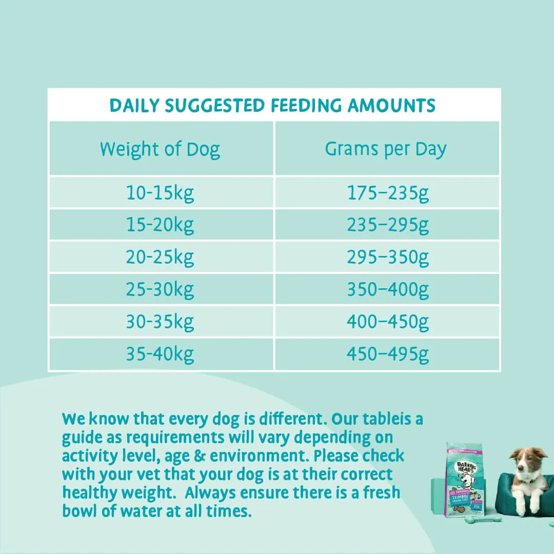 Barking Heads Tummy Loving Care Fish Dry Dog Food — 2 kg — product view 8