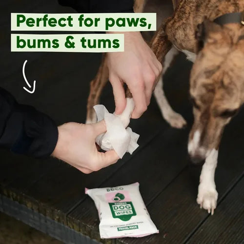 Beco Bamboo Unscented Dog Wipes by Beco – product detail 3