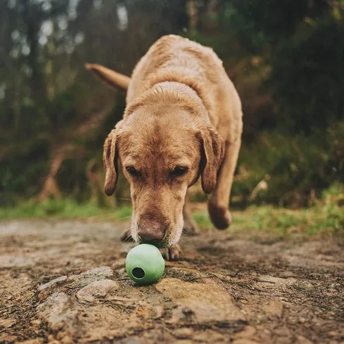 Beco Pets Eco-Friendly Rubber Ball Dog Toy product detail 7