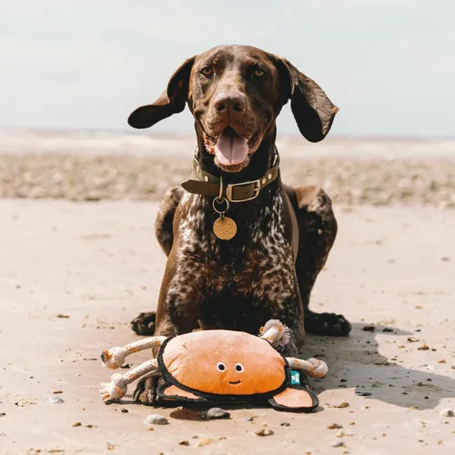 Beco Rough & Tough Crab Recycled Dog Toy by Beco – product detail 6