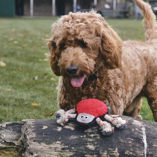 Beco Rough & Tough Spider Recycled Dog Toy by Beco – product detail 6