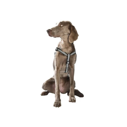 Bobby Classique Chic Harness - product detail 6