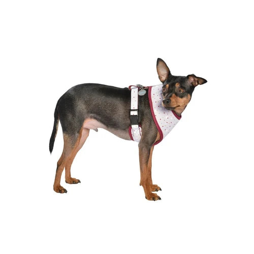 Bobby Dots T-Shirt Harness - Medium