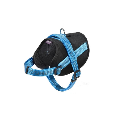 Bobby Easy Safe Harness - Blue, 2XSmall