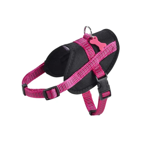 Bobby Easy Safe Harness - Fuschia, Large
