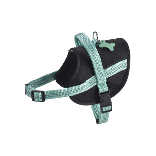 Bobby Easy Safe Harness - Lagon, Large