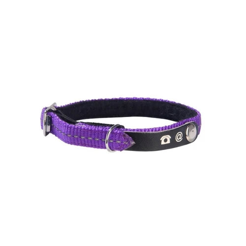 Bobby Lost Cat Collar - Violet