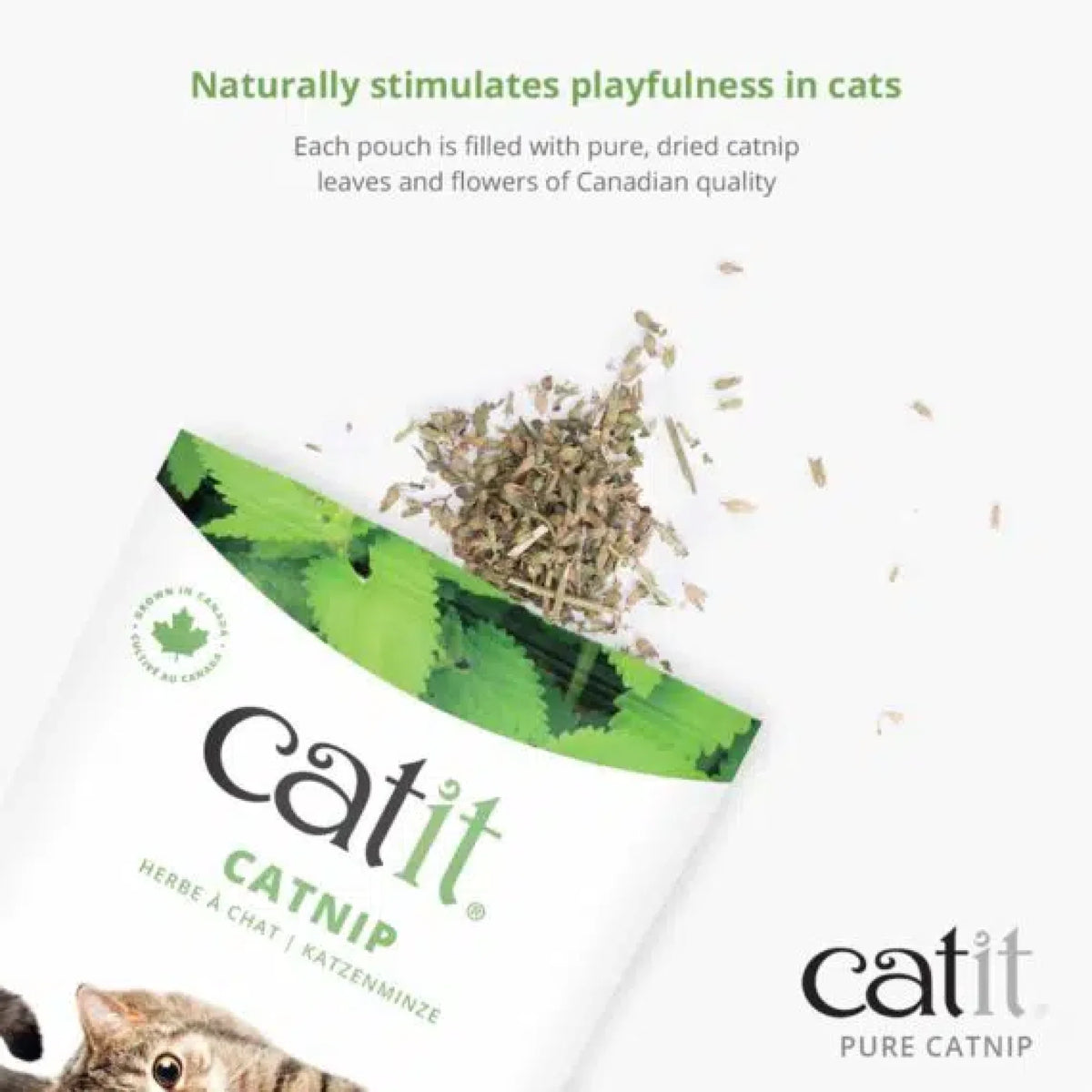 Catit Dried Catnip – product view 8