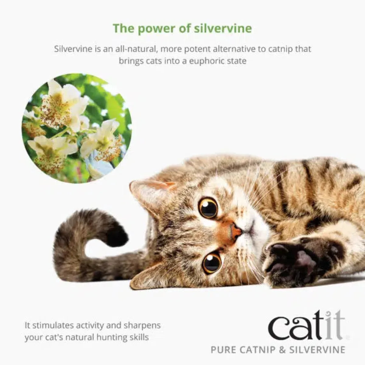Catit Dried Catnip & Silverine Mix 28 g – 28 g additional product view 1