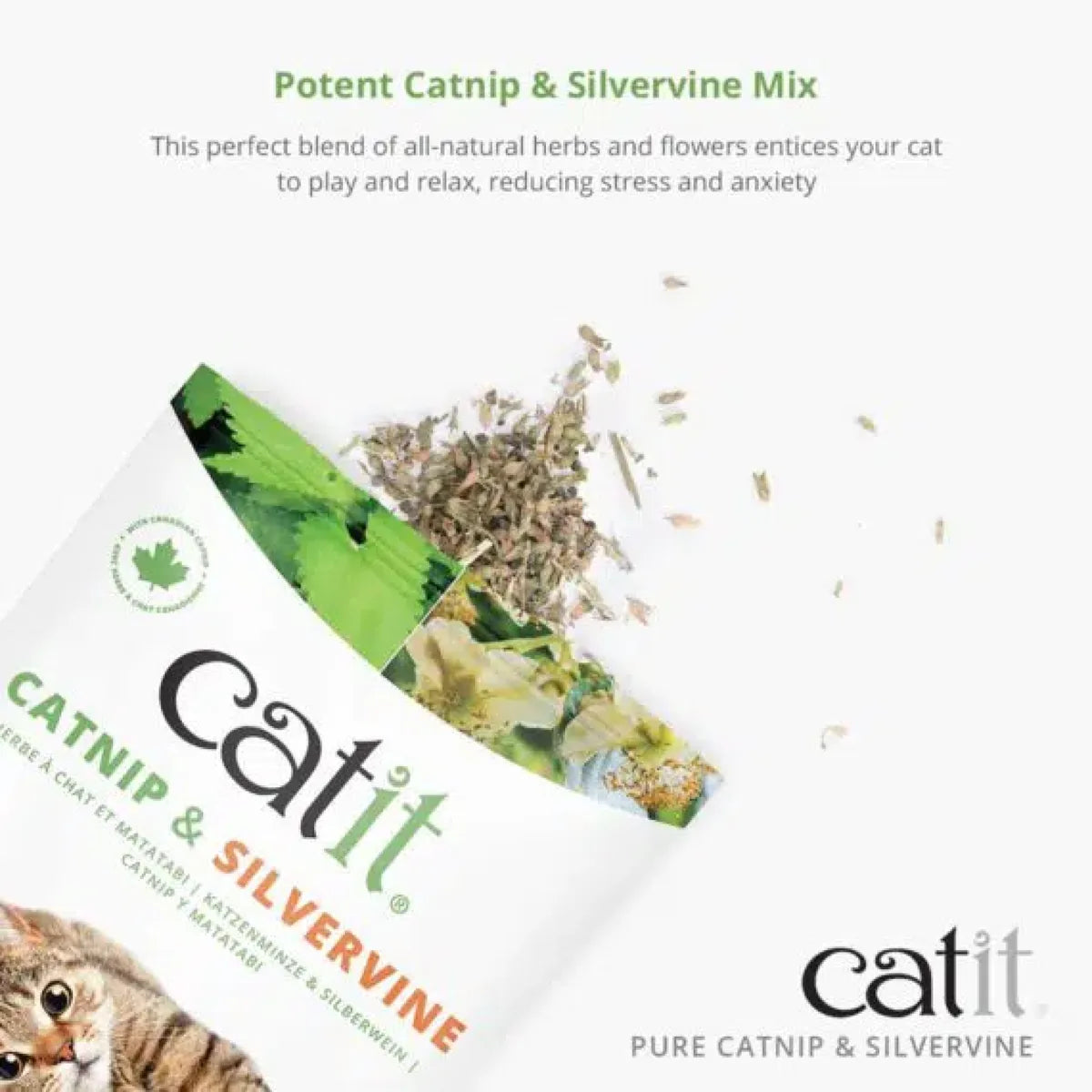 Catit Dried Catnip & Silverine Mix 28 g – 28 g additional product view 2