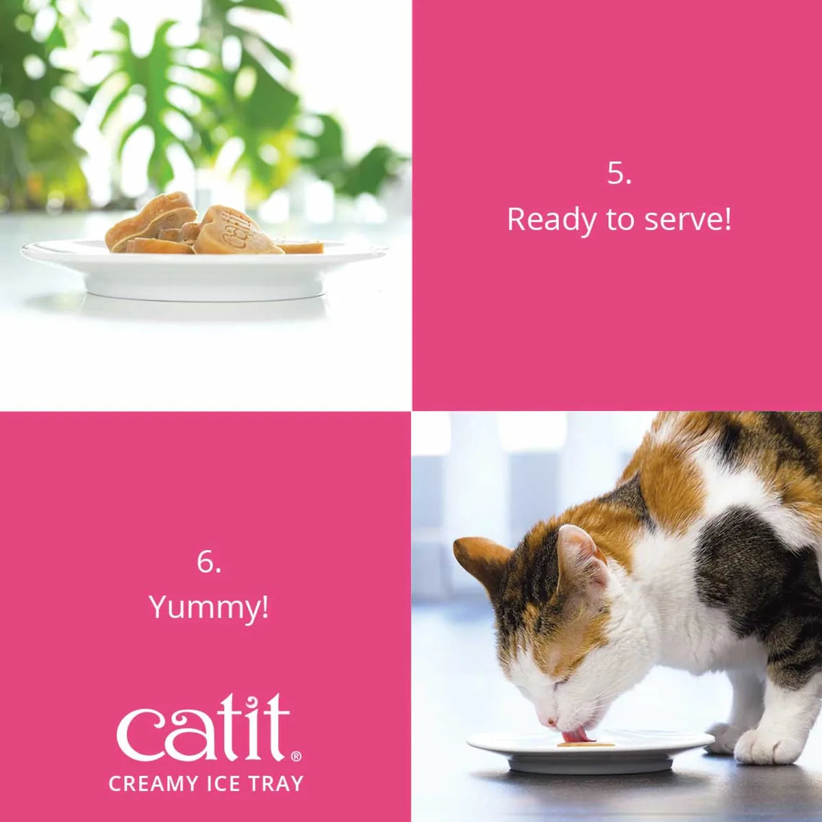 Catit Heart-Shaped Silicone Ice Tray – Ice Tray additional product view 3