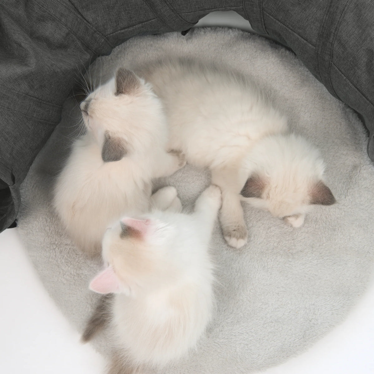 Catit Vesper Tunnel Cat Toy – product view 9
