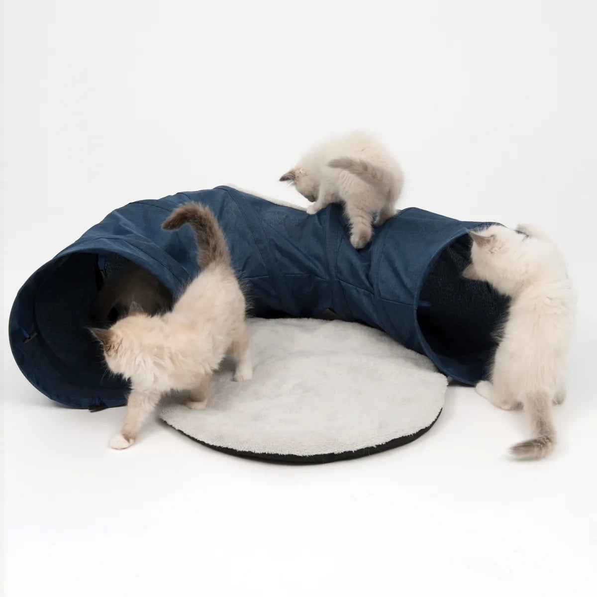 Catit Vesper Tunnel Cat Toy – Blue additional product view 4
