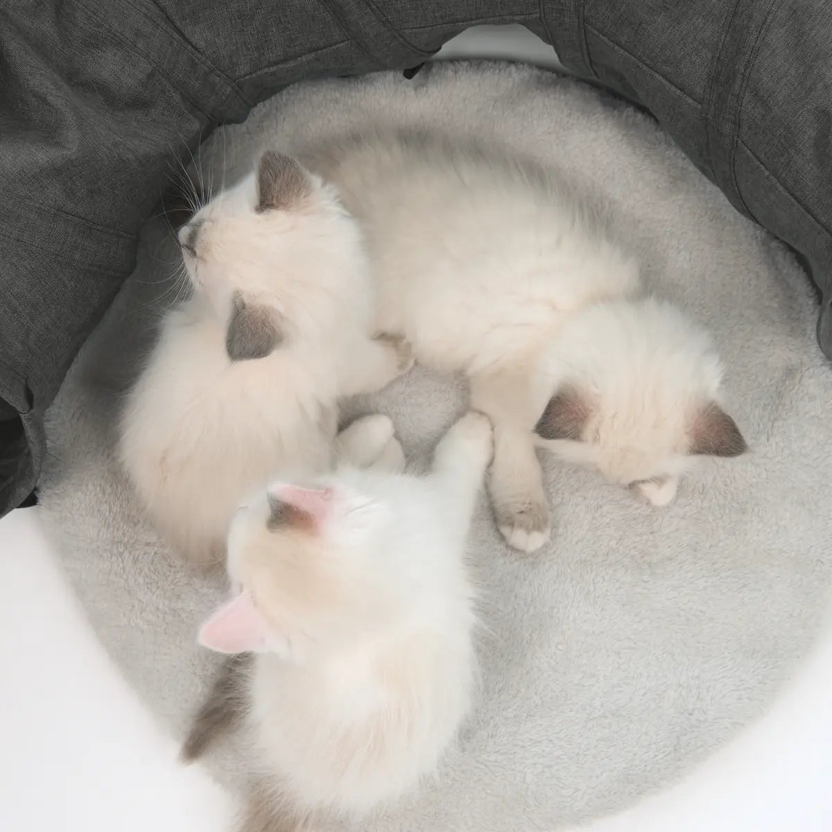 Catit Vesper Tunnel Cat Toy – Grey additional product view 3