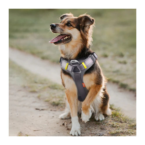 Fida Yellow No-Pull Dog Harness with Saddle Bags - Size S