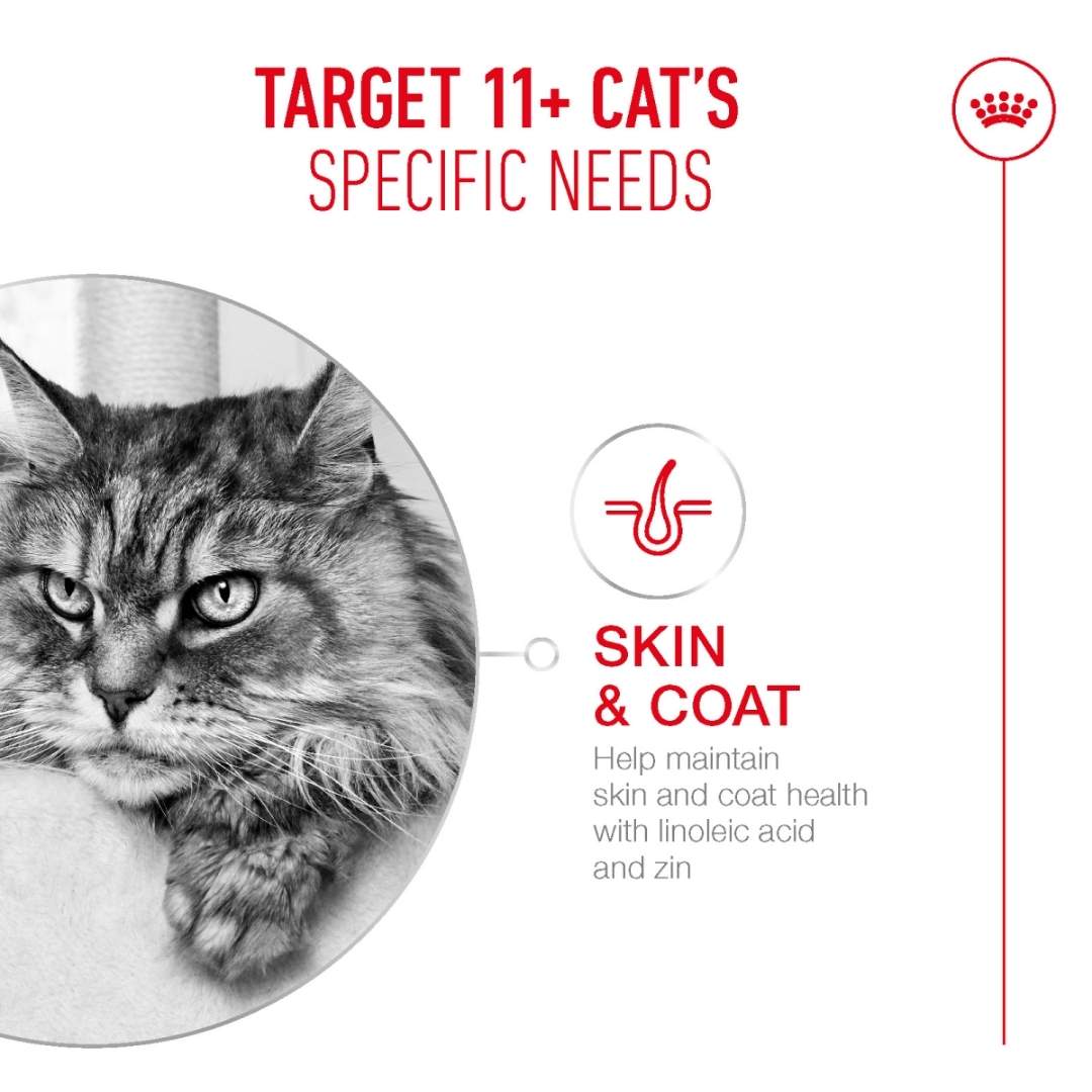 Royal Canin Cat Food 11+ cat's specific needs for skin and coat health.