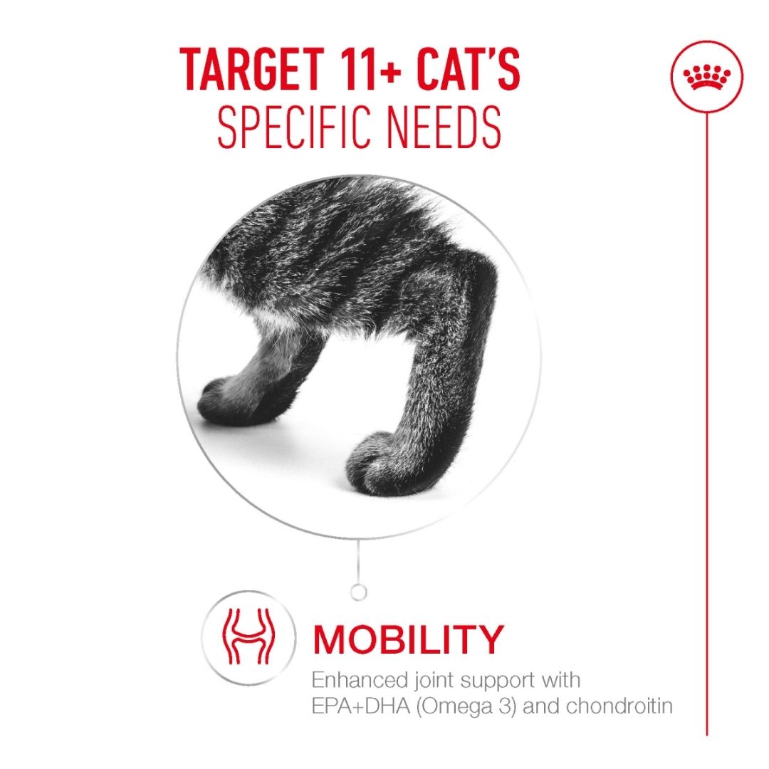 Royal Canin Jelly 11+ cats with a focus on mobility support.