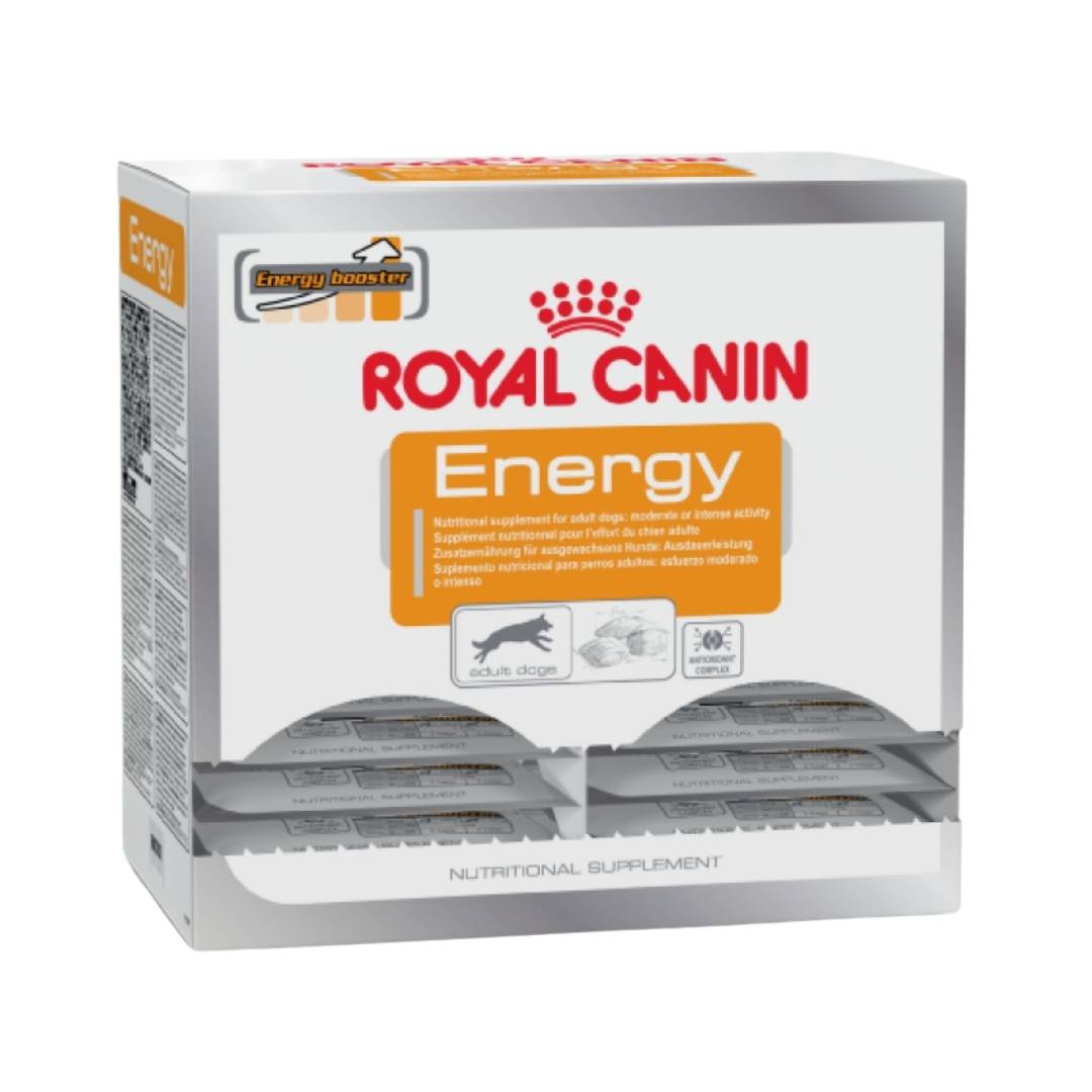 Royal Canin ENERGY Nutritional Supplement Box for Active Dogs in Dubai