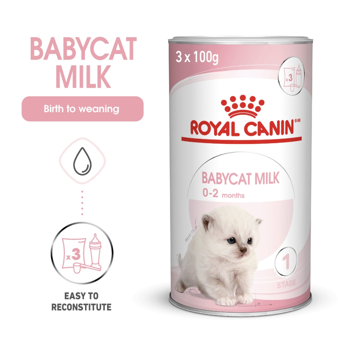 Royal Canin Feline Health Nutrition Babycat Milk 300 g AD