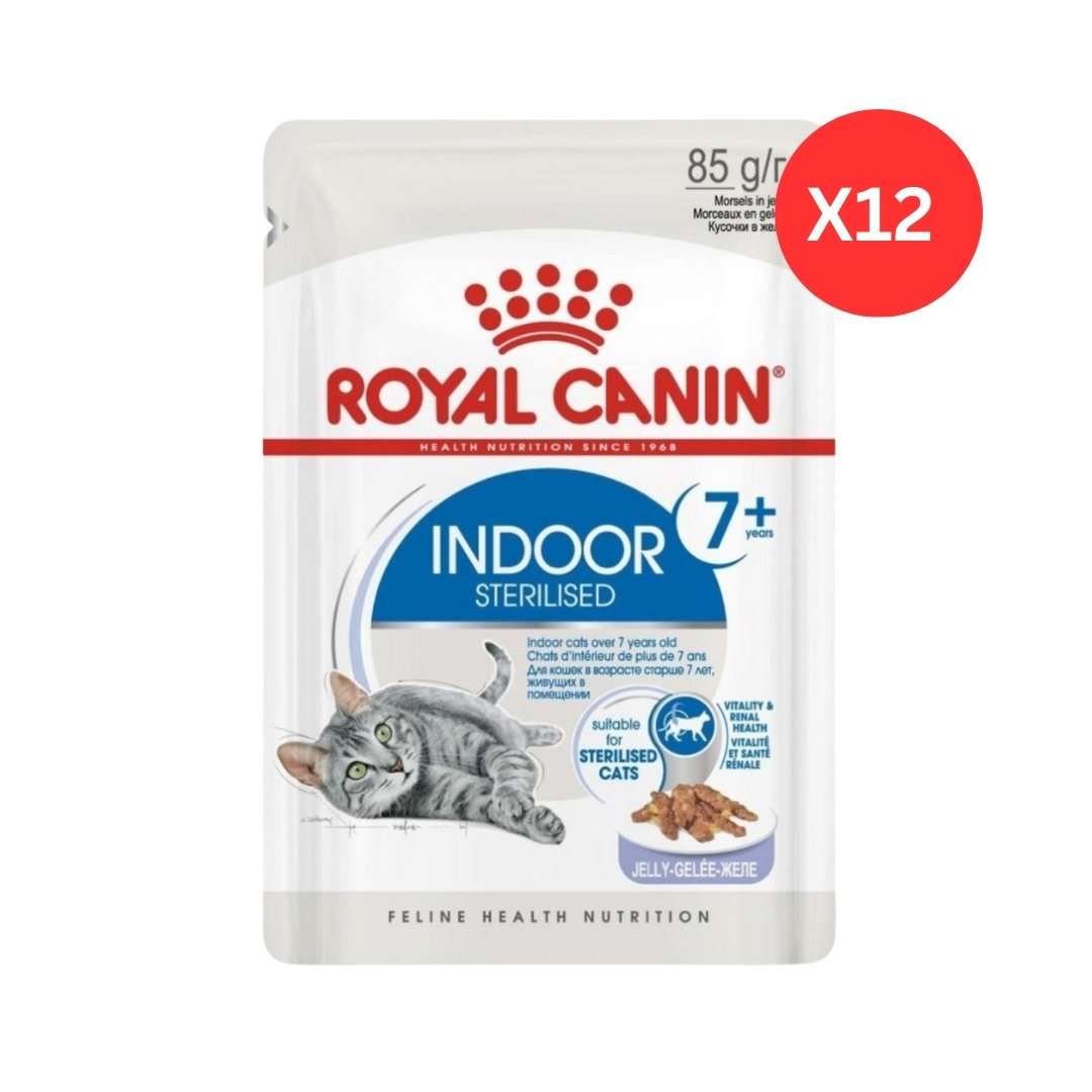 Royal Canin Feline Health Nutrition Indoor 7+ in Jelly Wet Cat Food Pouches 12 x 85 g