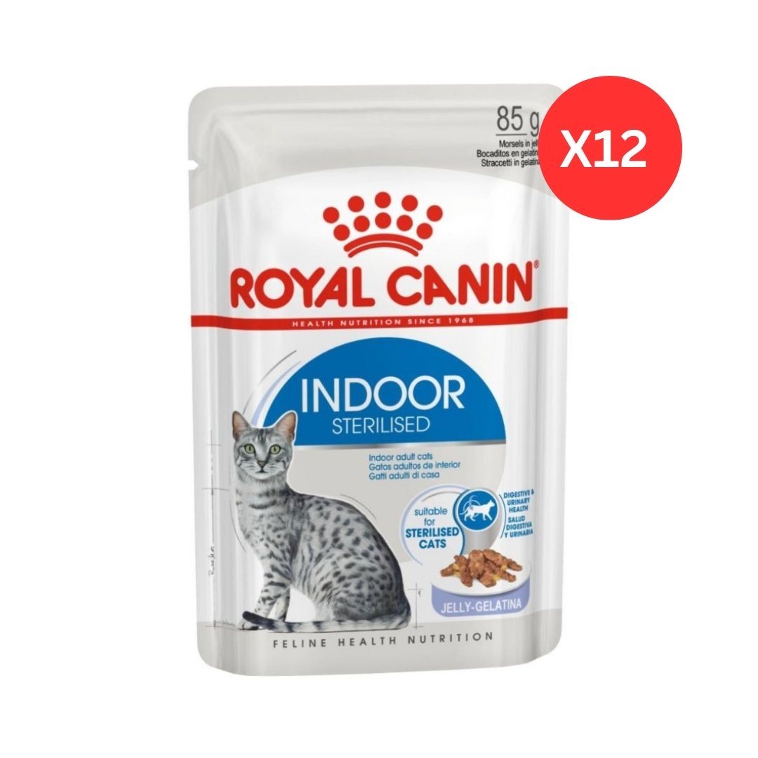 Royal Canin Feline Health Nutrition Indoor Jelly Wet Cat Food Pouches 12 x 85 g