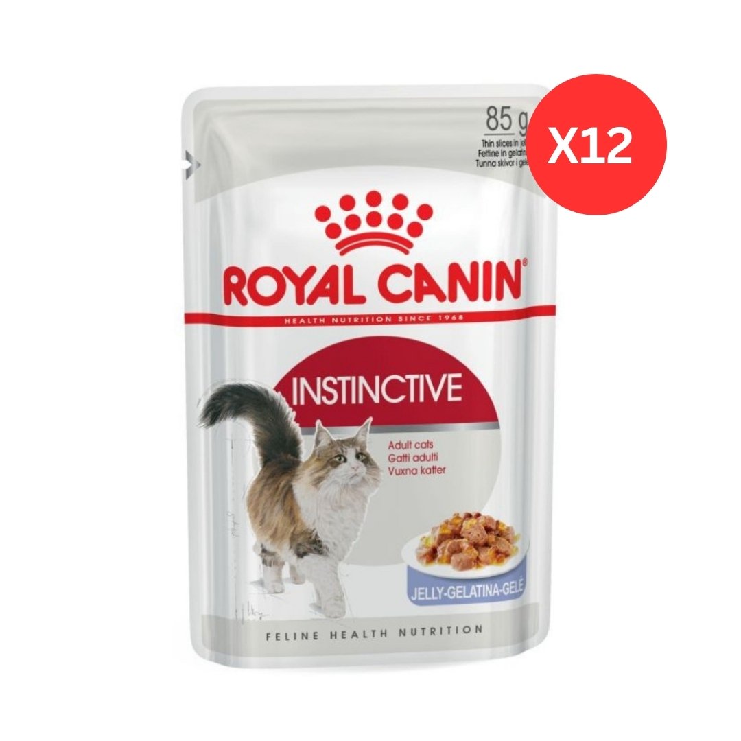 Royal Canin Feline Health Nutrition Instinctive Adult Cats in Jelly Wet Cat Food Pouches 12 x 85 g

