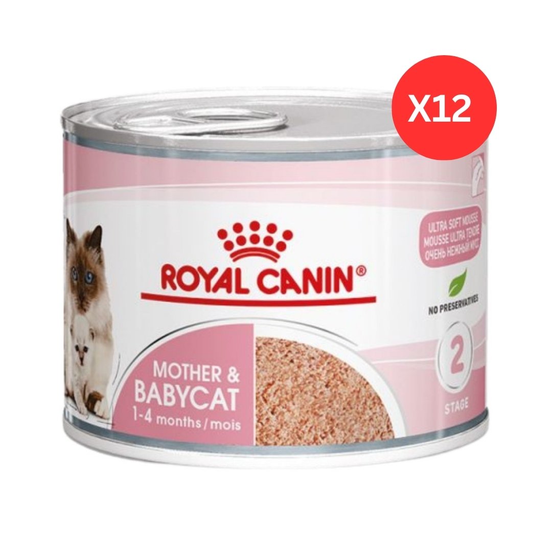 Royal Canin Feline Health Nutrition Mother & Babycat Mousse Wet Cat Food Cans 12 x 195 g