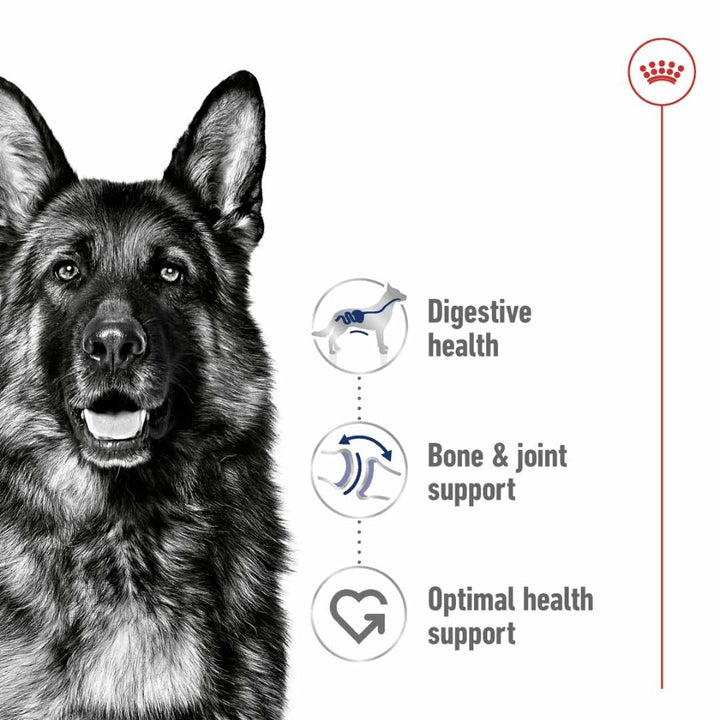 Black and white German Shepherd with health benefits listed on a white background