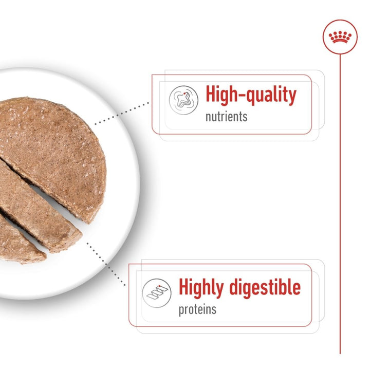 Brown food item on a white plate with text highlighting high-quality nutrients and highly digestible proteins.