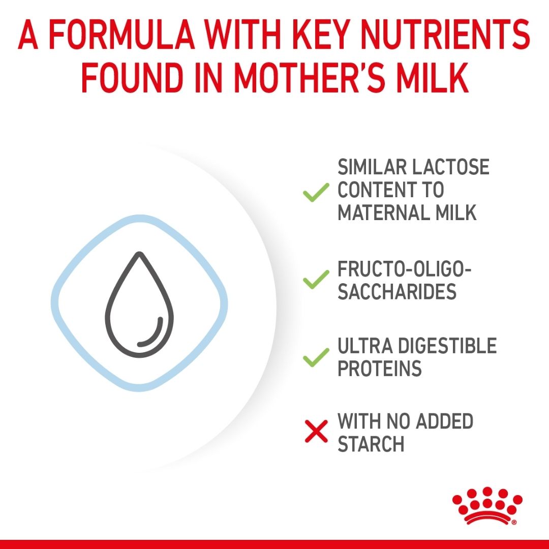 Royal Canin Size Health Nutrition Babydog Milk 400 g 