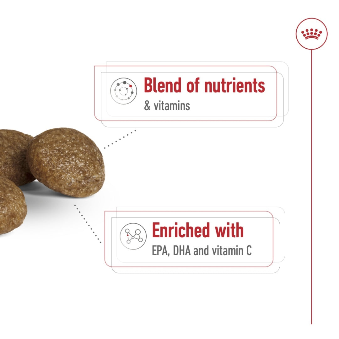 ROYAL CANIN® Size Health Nutrition XS Adult 8+ Dry Dog Food 1.5 kg Benefits 