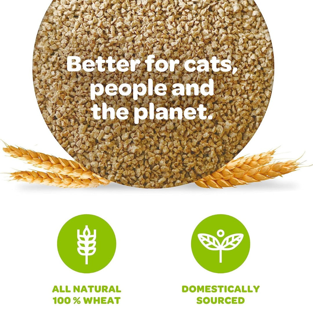 Elevate Your Cat's Comfort with sWheat Scoop Premium Multi-Cat Litter. Revolutionize your multi-cat household with sWheat Scoop's natural, unscented Multi-Cat litter. 