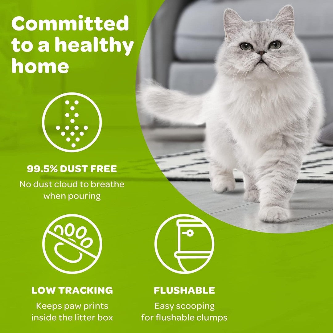 Elevate Your Cat's Comfort with sWheat Scoop Premium Multi-Cat Litter. Revolutionize your multi-cat household with sWheat Scoop's natural, unscented Multi-Cat litter. 