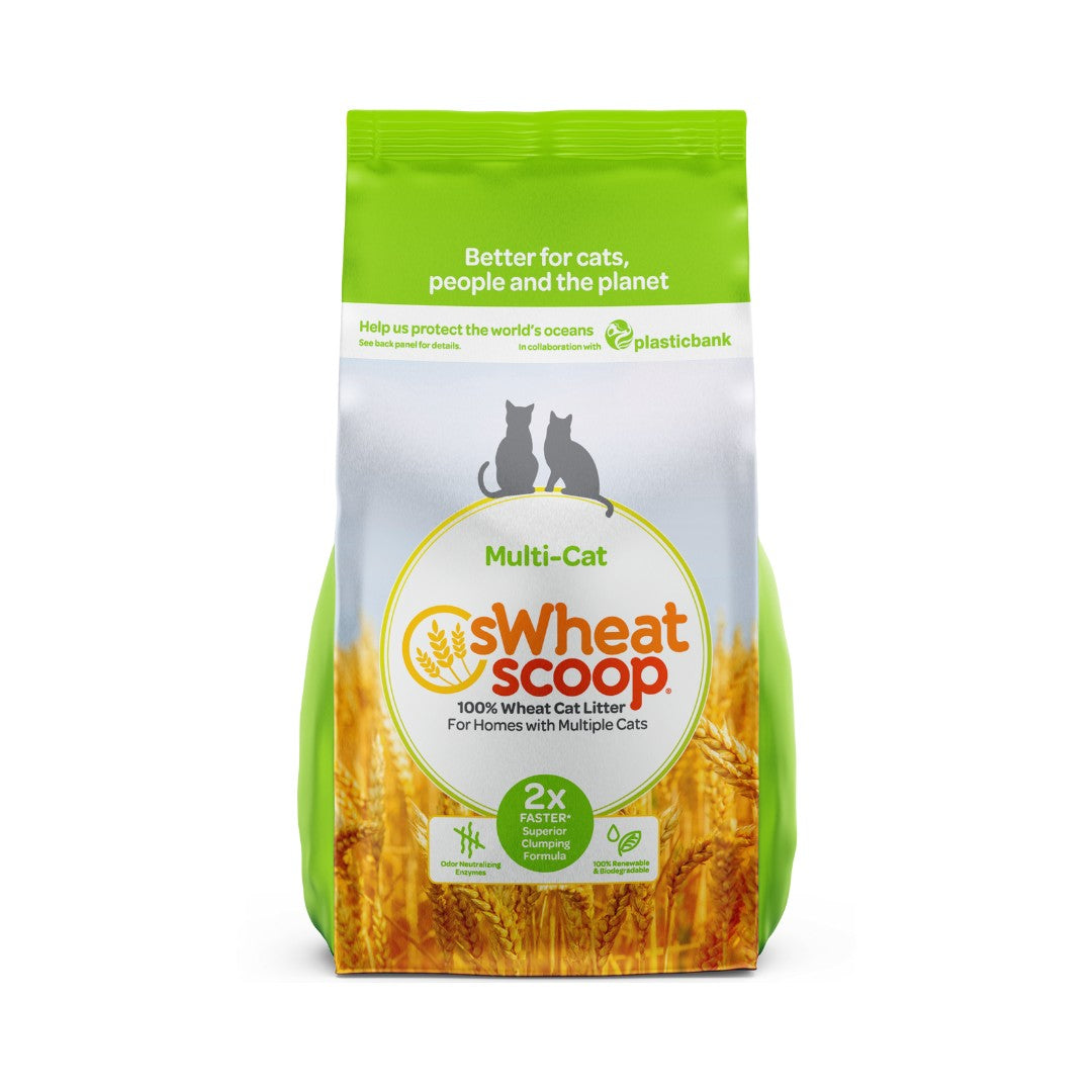 Elevate Your Cat's Comfort with sWheat Scoop Premium Multi-Cat Litter. Revolutionize your multi-cat household with sWheat Scoop's natural, unscented Multi-Cat litter. 