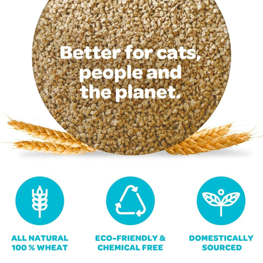 Elevate your multi-cat household with sWheat Scoop Original, a natural, unscented Multi-Cat litter designed for high odor control and quick clumping.